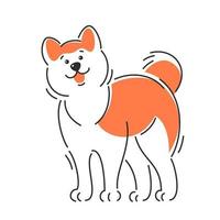 perro akita inu. ilustración vectorial de dibujos animados vector