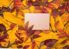 vista superior de un cuaderno con hojas de colores brillantes de otoño. hojas coloridas y páginas de diario en blanco y un montón de bayas rojas. diseño de otoño, espacio de copia, concepto de educación. foto