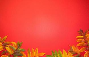 hermosas hojas de otoño brillantes sobre fondo de papel rojo con espacio de copia foto