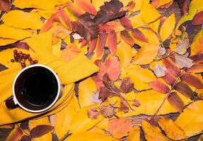 otoño, hojas de otoño, una taza de café humeante y una bufanda cálida sobre un fondo de hojas brillantes. estacional, café matutino, relajación dominical y concepto de naturaleza muerta.