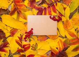 Hola octubre. vista superior de la composición otoñal sobre hojas otoñales de colores brillantes con hoja de papel y lugar para el texto. foto