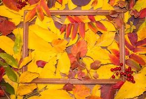 Autumn leaf composition with picture frame. Copy space. photo