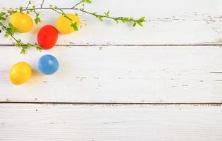 Colorful Easter eggs with spring bloom flowers and green leaves, on a white wooden background. Space for text. photo