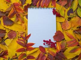 vista superior de un cuaderno con hojas de colores brillantes de otoño. hojas coloridas y páginas de diario en blanco y un montón de bayas rojas. diseño de otoño, espacio de copia, concepto de educación. foto