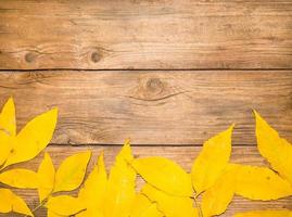 top view of autumn leaves on wooden textured background horizontally. Space for text in the center photo