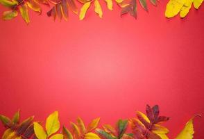 Beautiful bright autumn leaves on red paper background with copy space photo