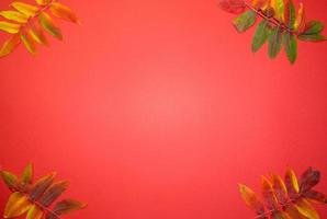 Beautiful bright autumn leaves on red paper background with copy space photo