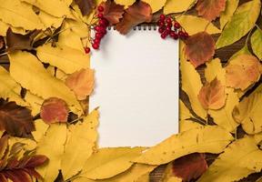 vista superior de un cuaderno con hojas de colores brillantes de otoño. hojas coloridas y páginas de diario en blanco y un montón de bayas rojas. diseño de otoño, espacio de copia, concepto de educación. foto