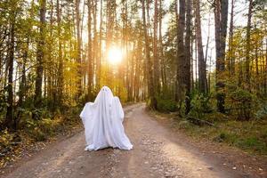 A child in sheets with cutout for eyes like a ghost costume in an autumn forest scares and terrifies. A kind little funny ghost. Halloween Party photo