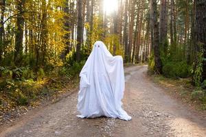 A child in sheets with cutout for eyes like a ghost costume in an autumn forest scares and terrifies. A kind little funny ghost. Halloween Party photo