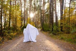 A child in sheets with cutout for eyes like a ghost costume in an autumn forest scares and terrifies. A kind little funny ghost. Halloween Party photo