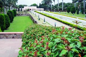 Beautiful park scene in public park with green grass field photo