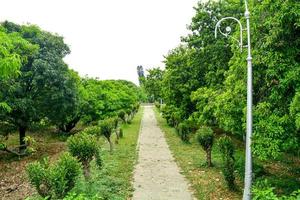 Beautiful park scene in public park with green grass field photo