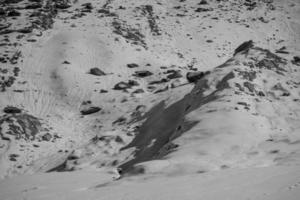 hiking in the swiss alps photo