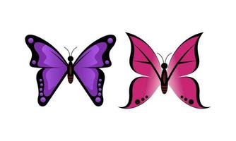 Beautiful color butterfly logo vector art illustration