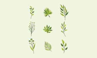 Cute nature flowers and leaves vector. Small colorful flowers vector