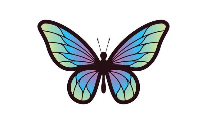 Beautiful Butterfly Vector Art & Graphics 