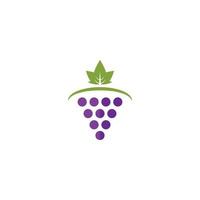 racimo de uvas de vino con icono de hoja vector