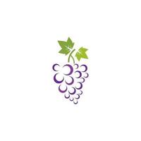 racimo de uvas de vino con icono de hoja vector