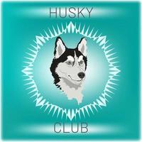 emblema de cabeza de perro husky siberiano esponjoso de ojos azules en blanco y negro realista para club de propietarios o impresiones vector