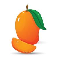 Mango illustration vector