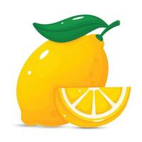 Lemon illustration vector