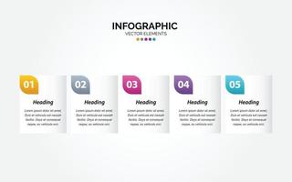 Horizontal Infographic business colorful template banner design 5 options background style you can used for marketing process workflow presentation development plan vector