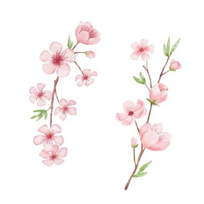 Cherry Blossom Vector Art, Icons, and Graphics for Free Download