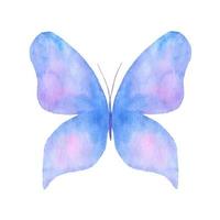 Watercolor butterfly isolated on white background. Blue hand painted illustration vector