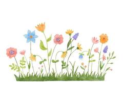 Watercolor wild herbs and flowers doodle illustration. Field with grass and wildflowers isolated on white background vector