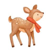 Watercolor Baby Deer character with scarf. Hand drawn cute fawn. Cartoon illustration isolated on white vector