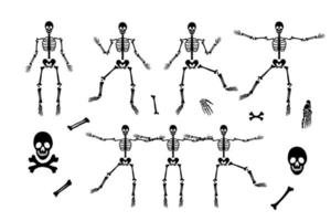 conjunto de esqueleto con diferentes partes. silueta del cuerpo humano. anatomía humana. ilustración vectorial aislado sobre fondo blanco. perfecto para el diseño de halloween vector