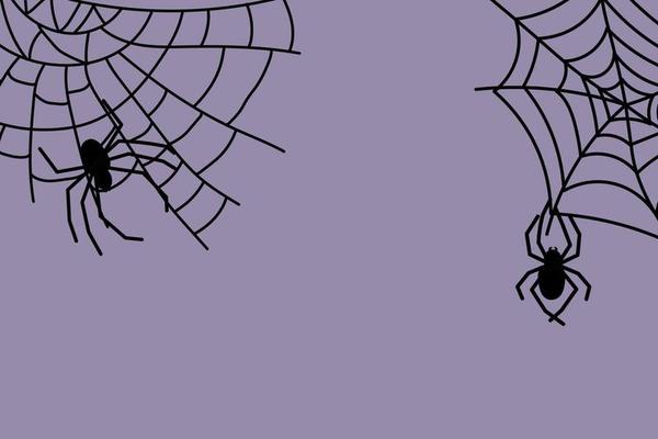 Halloween spider web and spiders on color background. Vector illustration