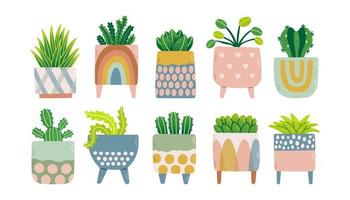 House plants set in colorful flowerpots. Trendy home decor with plants vector illustration. Flowers in pot