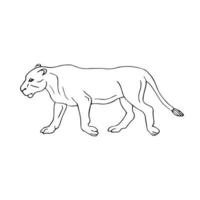 Vector hand drawn running lioness