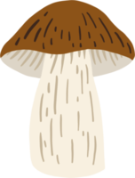 Doodle dibujo a mano alzada de seta bolete. png