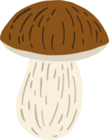 scarabocchiare a mano libera disegno di funghi porcini. png