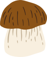 scarabocchiare a mano libera disegno di funghi porcini. png