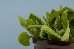 Pot with raw spinach leaves isolated, photo