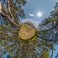 pequeño planeta transformación de panorama esférico 360 grados. vista aérea abstracta esférica en el bosque. curvatura del espacio. foto