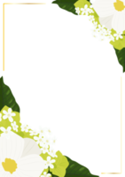 bianca cosmo e verde ortensia fiori con d'oro telaio png