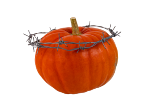 Orange pumpkin with a wreath of thorns made of barbed wire in the form of a crown on a transparent isolated background. PNG