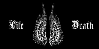 Bird wings vector