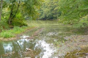 river in autumn green landscape photo