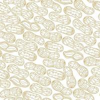 Seamless pattern with peanuts. Vector illustration of peanut in nutshell on white background