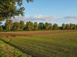 autumn time near Borken in westphalia photo