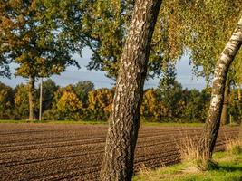 autumn time near Borken in westphalia photo