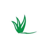 conjunto de icono de vector de plantilla de logotipo de aloevera