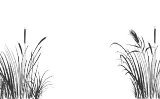 Image of a green reed or bulrush on a white background.Isolated vector drawing.