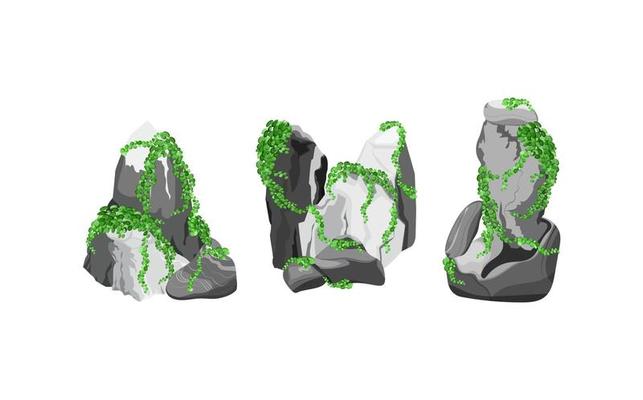 Collection of stones and plants of various shapes.Coastal pebbles,cobblestones,gravel,minerals and geological formations.Rock fragments,boulders and building material.